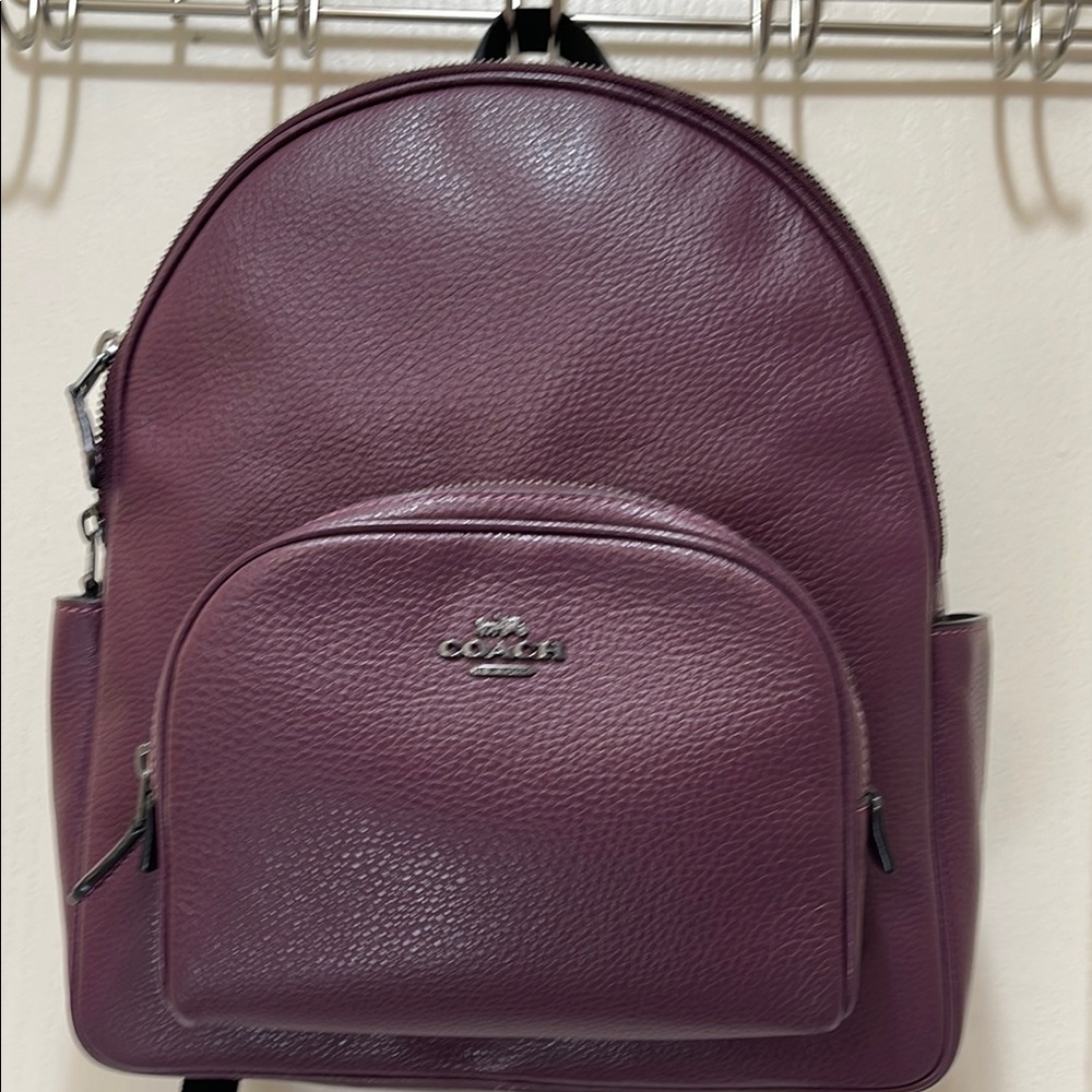 Coach court Purple Backpack